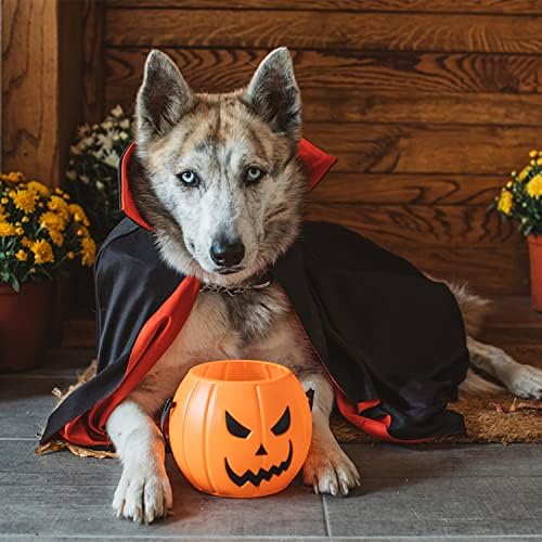 DERAYEE Vampir Kostüm, ideal für Kinder zum Halloween, moderne Design und Comfort_fit, Größe L